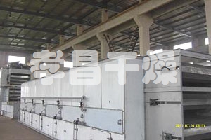 DWT系列脫水蔬菜干燥機